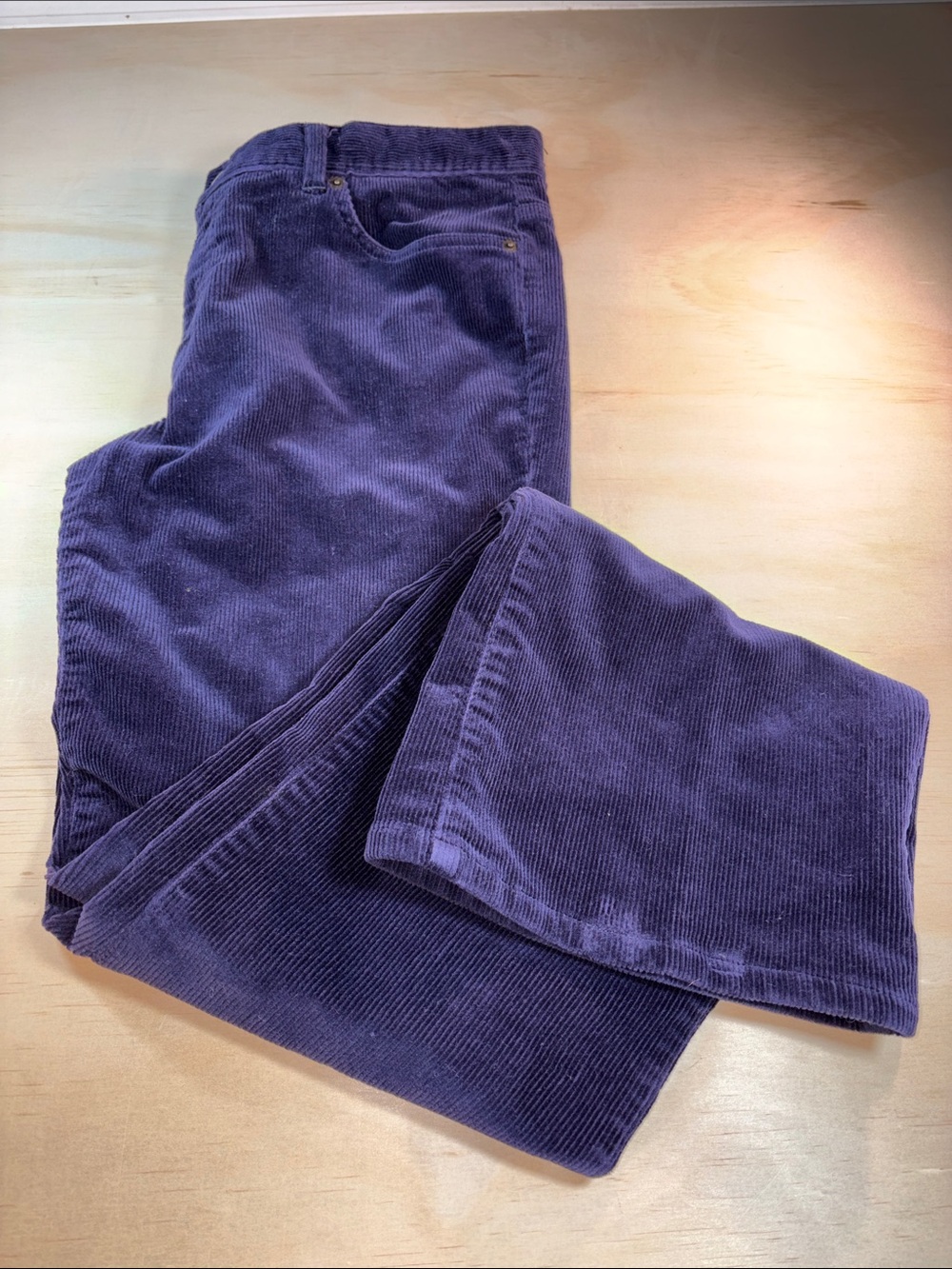 Deep Blu/Purple Corduroy Woman’s Pants Sz 10